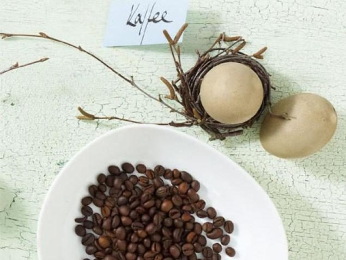 Куда можно использовать кофейную гущу после варки кофе для красоты и в хозяйстве?